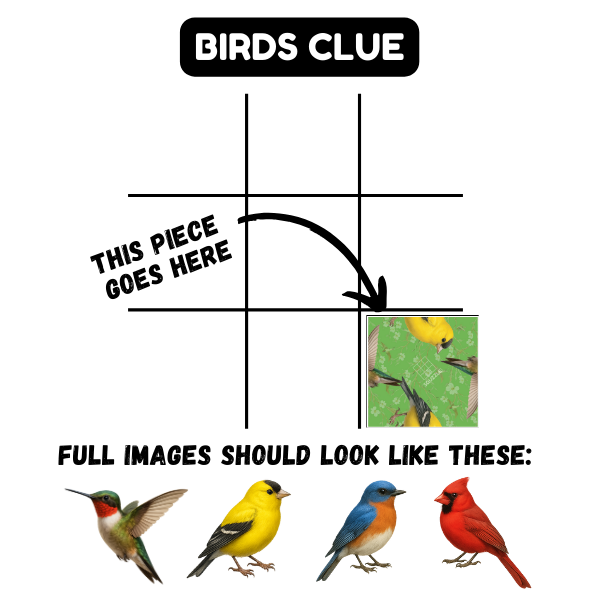 BIRDS SQUZZLE