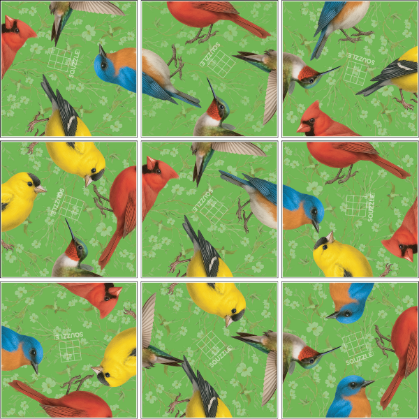 BIRDS SQUZZLE