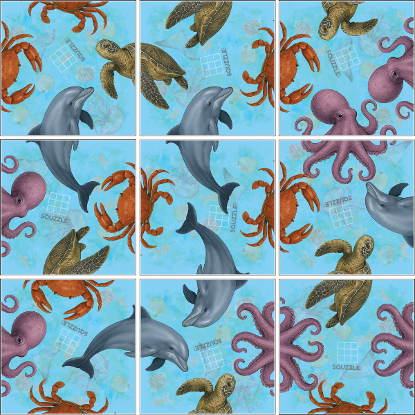 OCEAN LIFE SQUZZLE