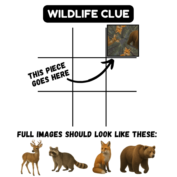 Squzzle Wildlife clue diagram with a sample puzzle tile and deer, raccoon, fox, and bear reference images.